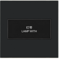 ZY-004 一位开关（弱电）