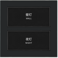 ZY-005 二位开关（弱电）