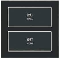 ZY-011 二位开关（弱电）