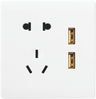 H-86-038 五孔带二位USB