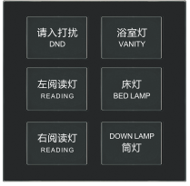 ZY-009 六位开关（弱电）