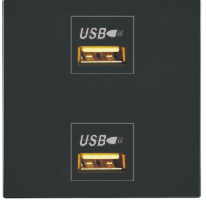 ZY-026 二位USB