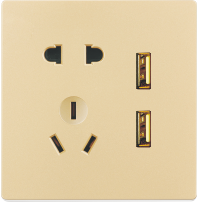 F-86-038 五孔带二位USB