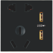 YD-042 五孔带二位USB插座